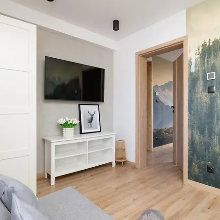 Piekny Gorski Z Widokiem I Parkingiem By Renters Zakopane